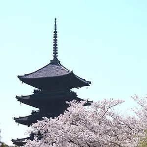 Sakura 椿 3*, 京都 日本